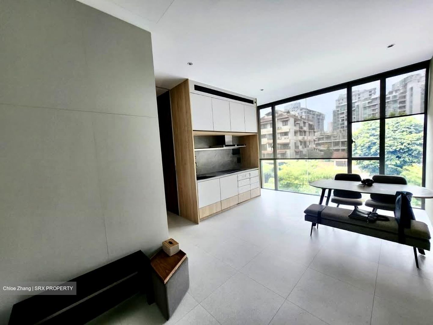 PETIT JERVOIS (D10), Apartment #553321021
